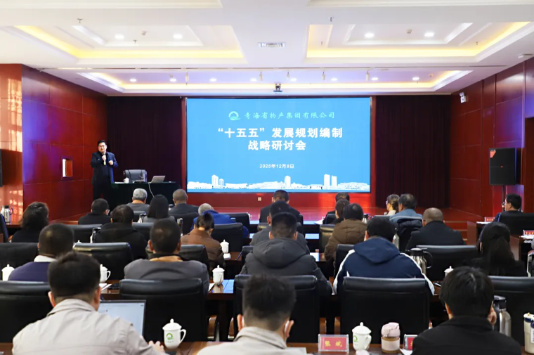 聚勢謀遠(yuǎn) 破局立新&mdash;&mdash;集團(tuán)召開&ldquo;十五五&rdquo;發(fā)展規(guī)劃編制戰(zhàn)略研討會