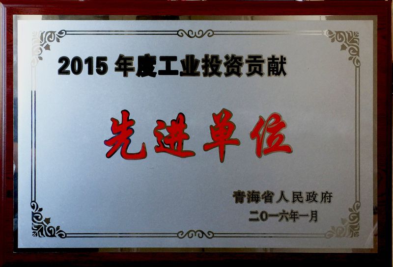 2015年度工業(yè)投資貢獻(xiàn)先進(jìn)單位