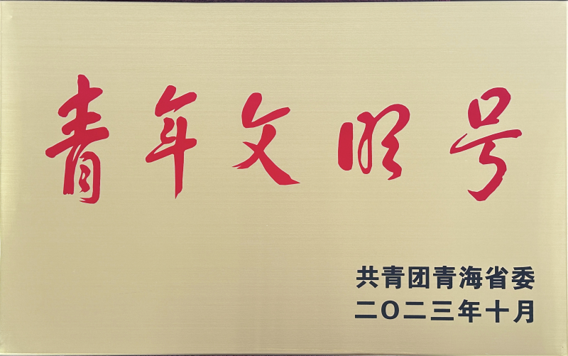 青海省臨空經濟區(qū)開發(fā)投資有限公司榮獲 “第21屆青海青年文明號”