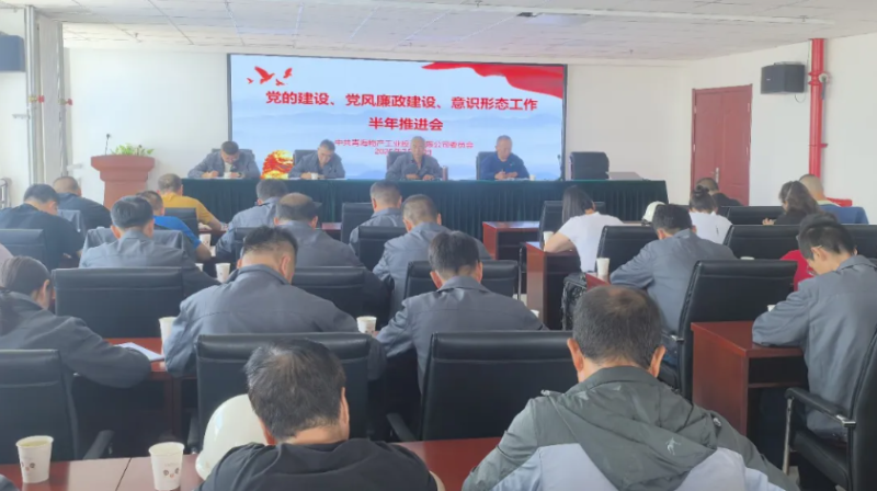 工投公司黨委召開黨的建設(shè)、黨風廉政建設(shè)、意識形態(tài)工作半年推進會